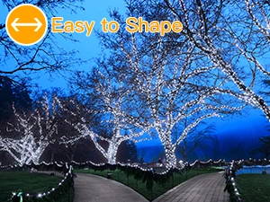 Ollny's 600 leds green wire cool white Christmas lights with 4 brightness levels