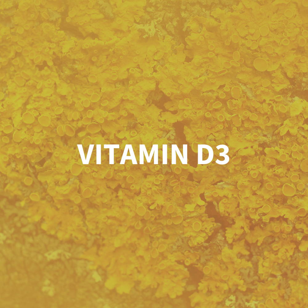 Vitamin D for bones & immune health