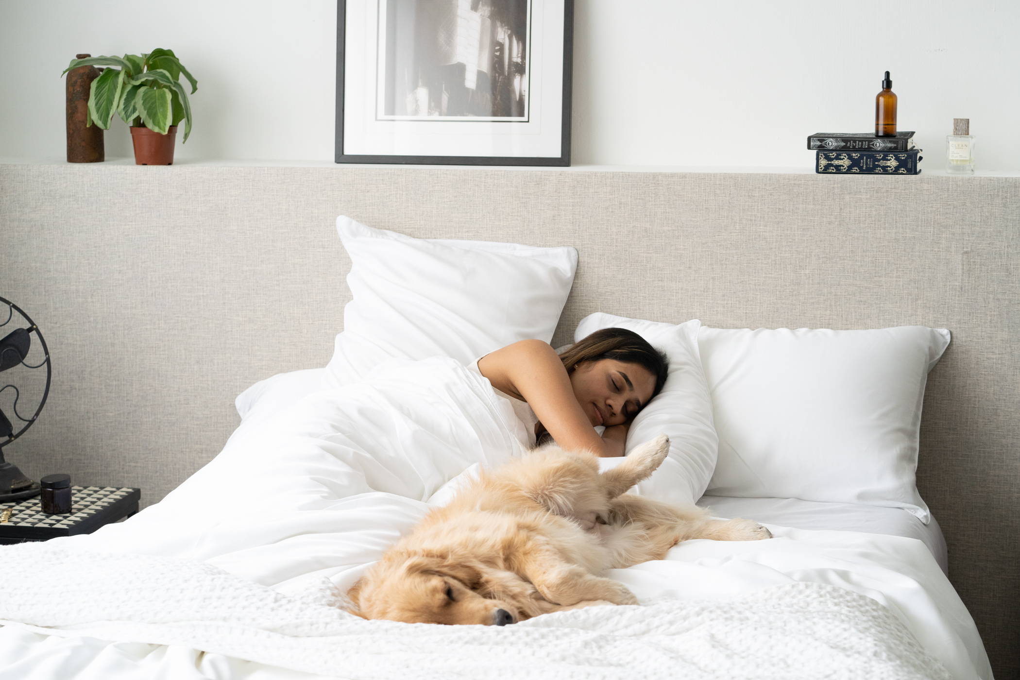 woman sleeping on bed with pet dog featuring Weavve's Tencel Lyocell white bed sheets