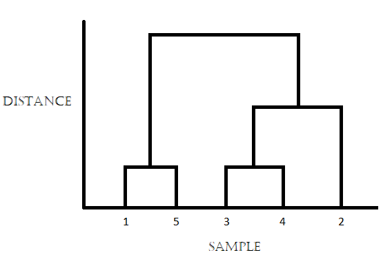 Example dendrogram in hierarchical clustering