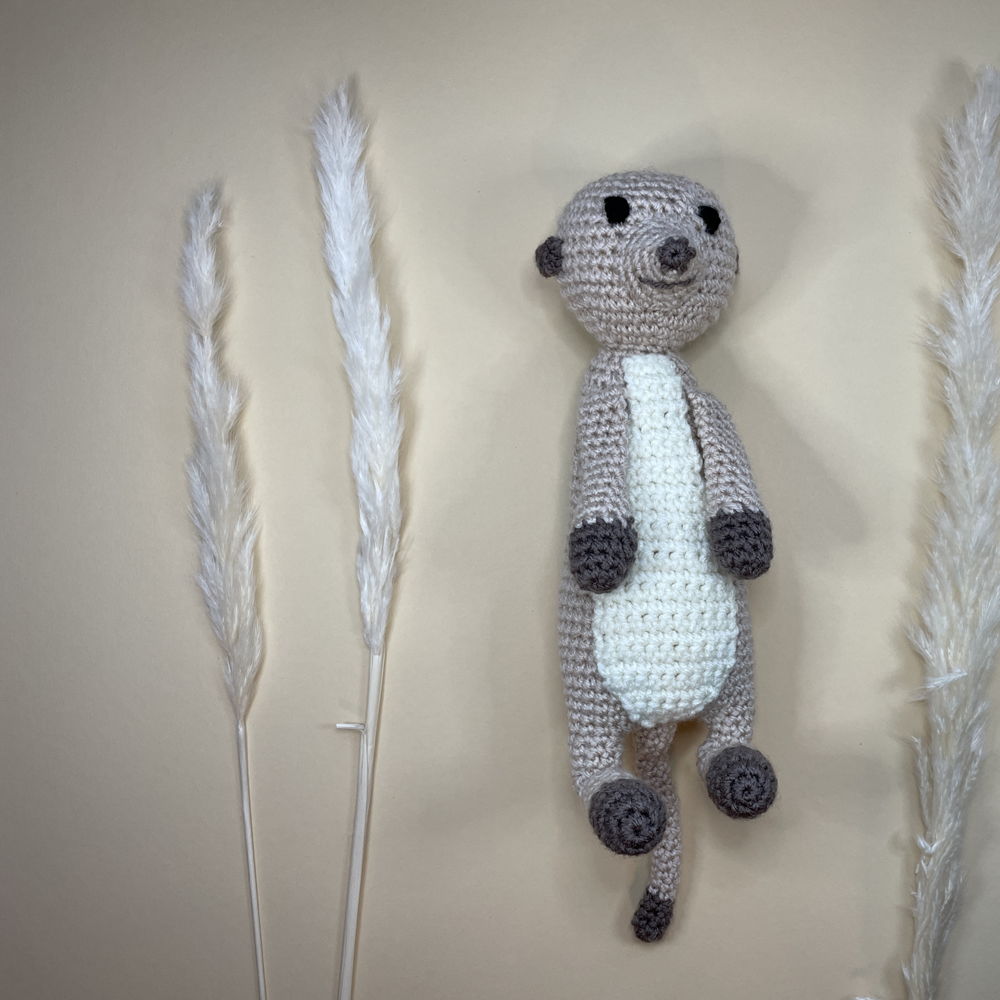 Meerkat