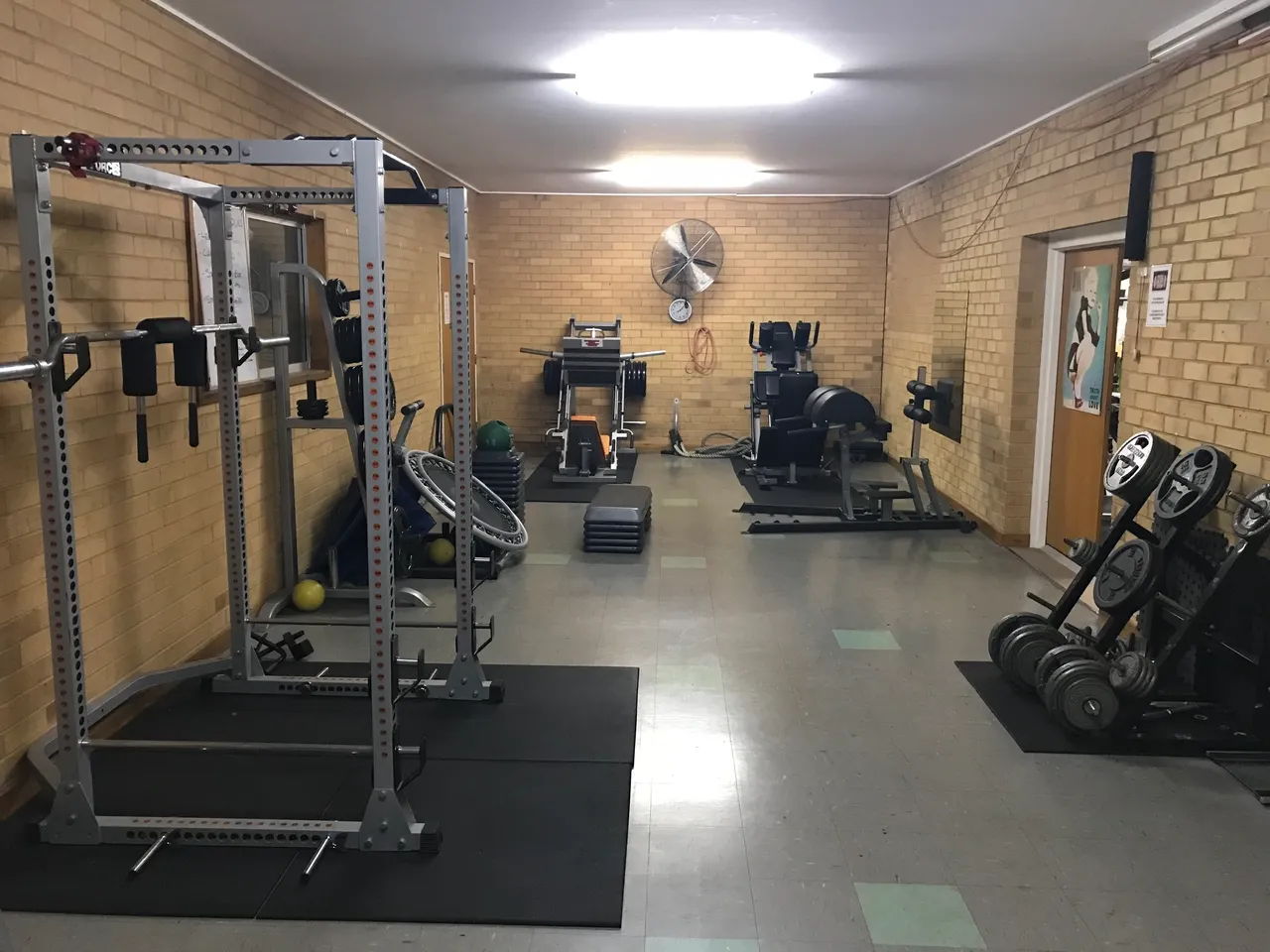 Dynamic Muscle and Fitness - Image 2