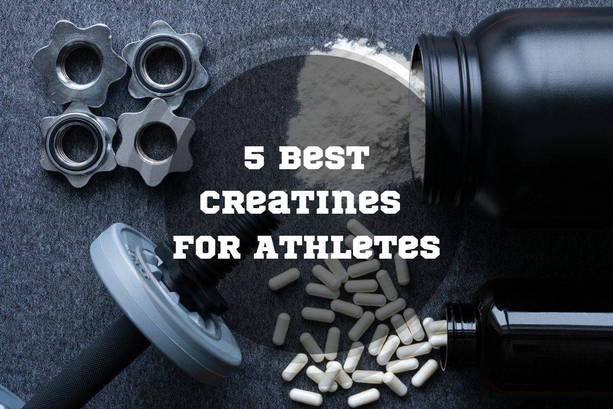 Best Creatines for Athletes