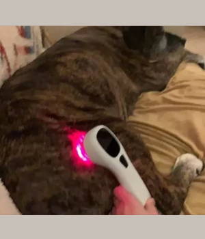 fda approved cold laser therapy device