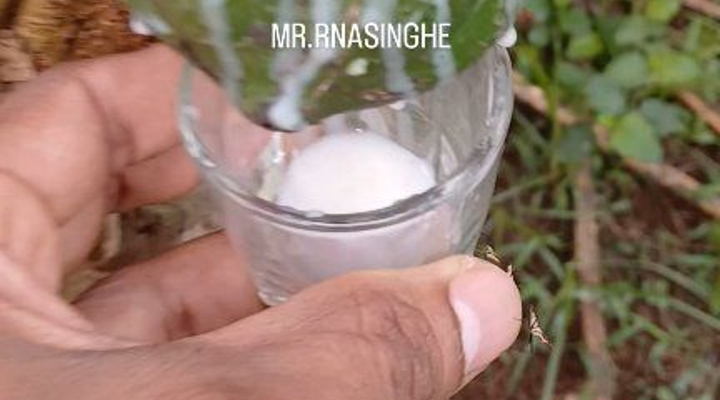 Main Content Image