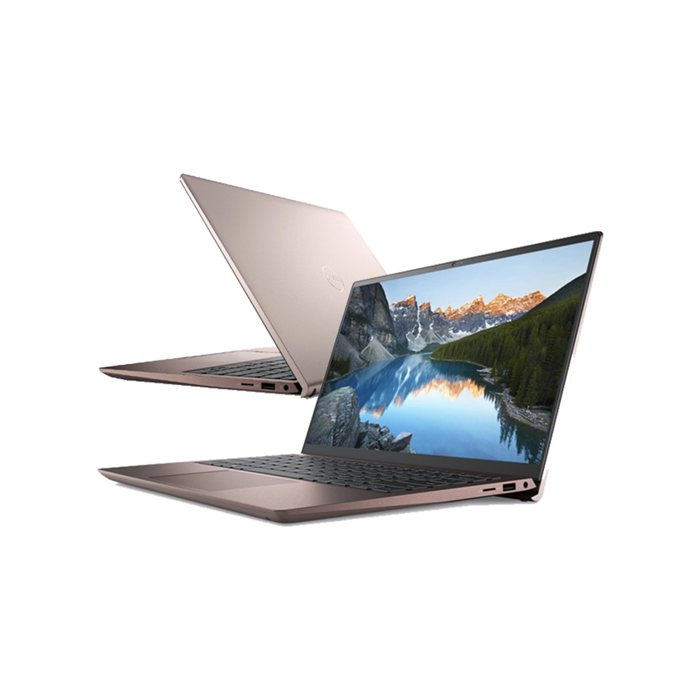 DELL戴爾 文書筆電 DELL Inspiron 14-5410-R3728PTW 桃金玫瑰