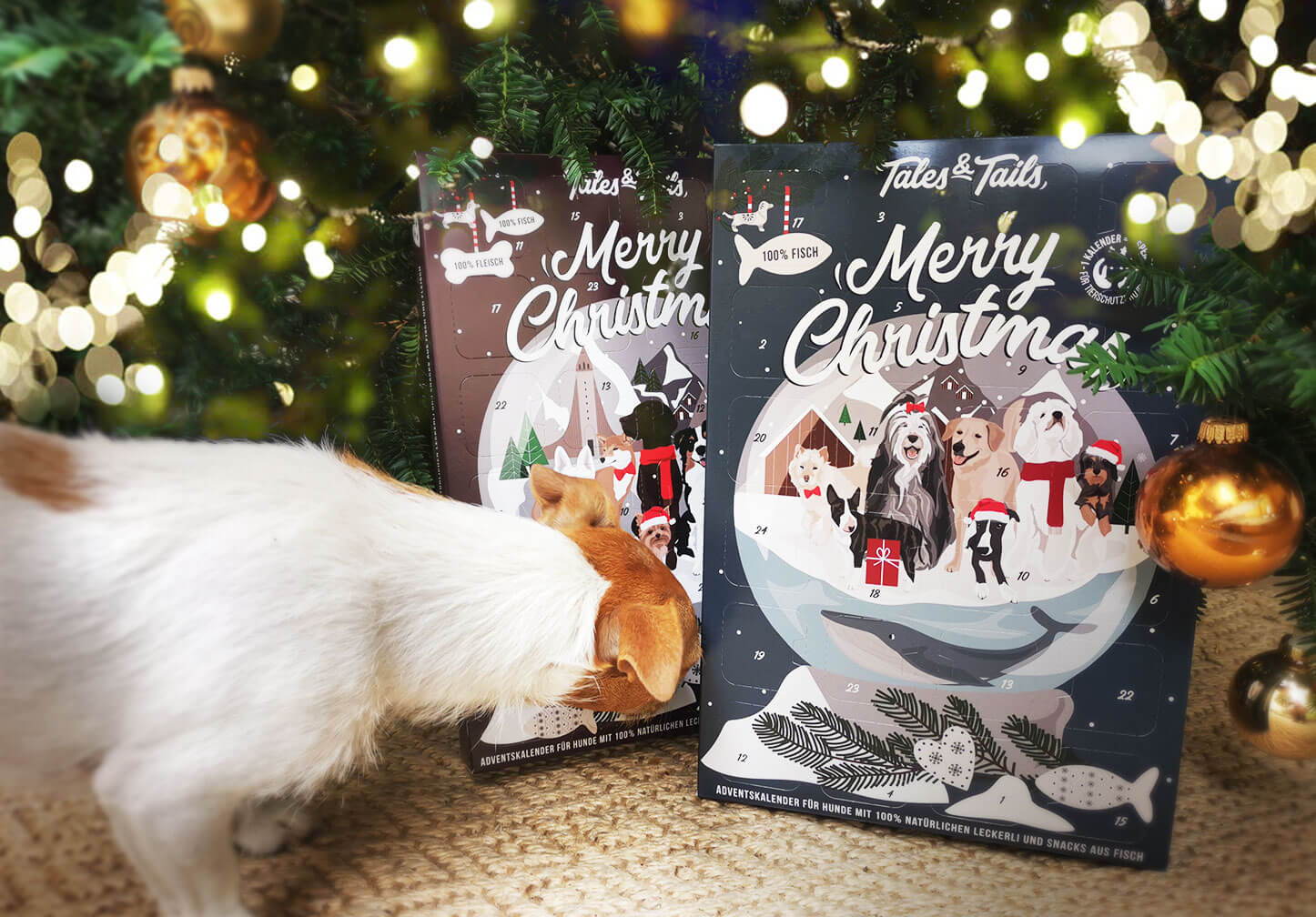 Hundebedarf Tales & Tails