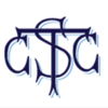syston town cricket club Logo