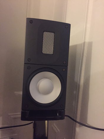 Raidho X-1 with OEM Stands
