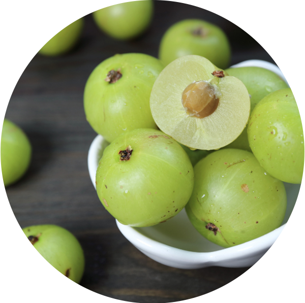 Leeks as a source of Prebiotics in the best probiotics in singapore