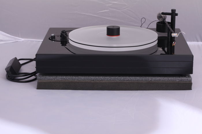 Well Tempered Labs Record Player Turtable