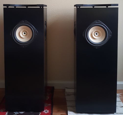 Decware HDT Full Range Speakers