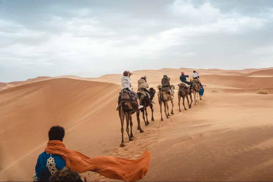 From Abu Dhabi Safari: Off-Road Desert Adventure & BBQ Dinner - photo 1
