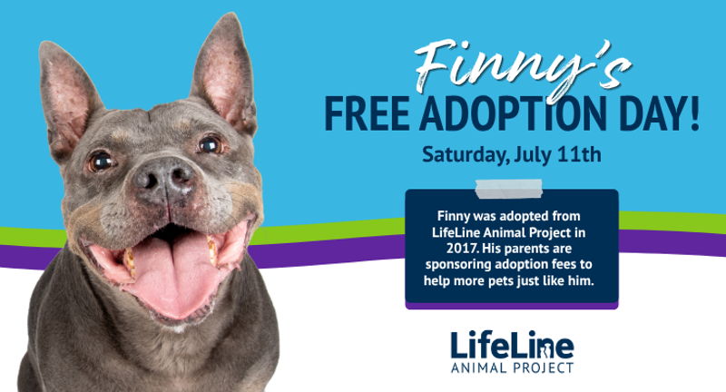 Finny's Free Adoption Event