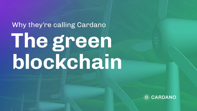Cardanoはなぜ「グリーンブロックチェーン」と呼ばれるのか