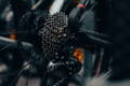 Focus sur un dérailleur de vélo