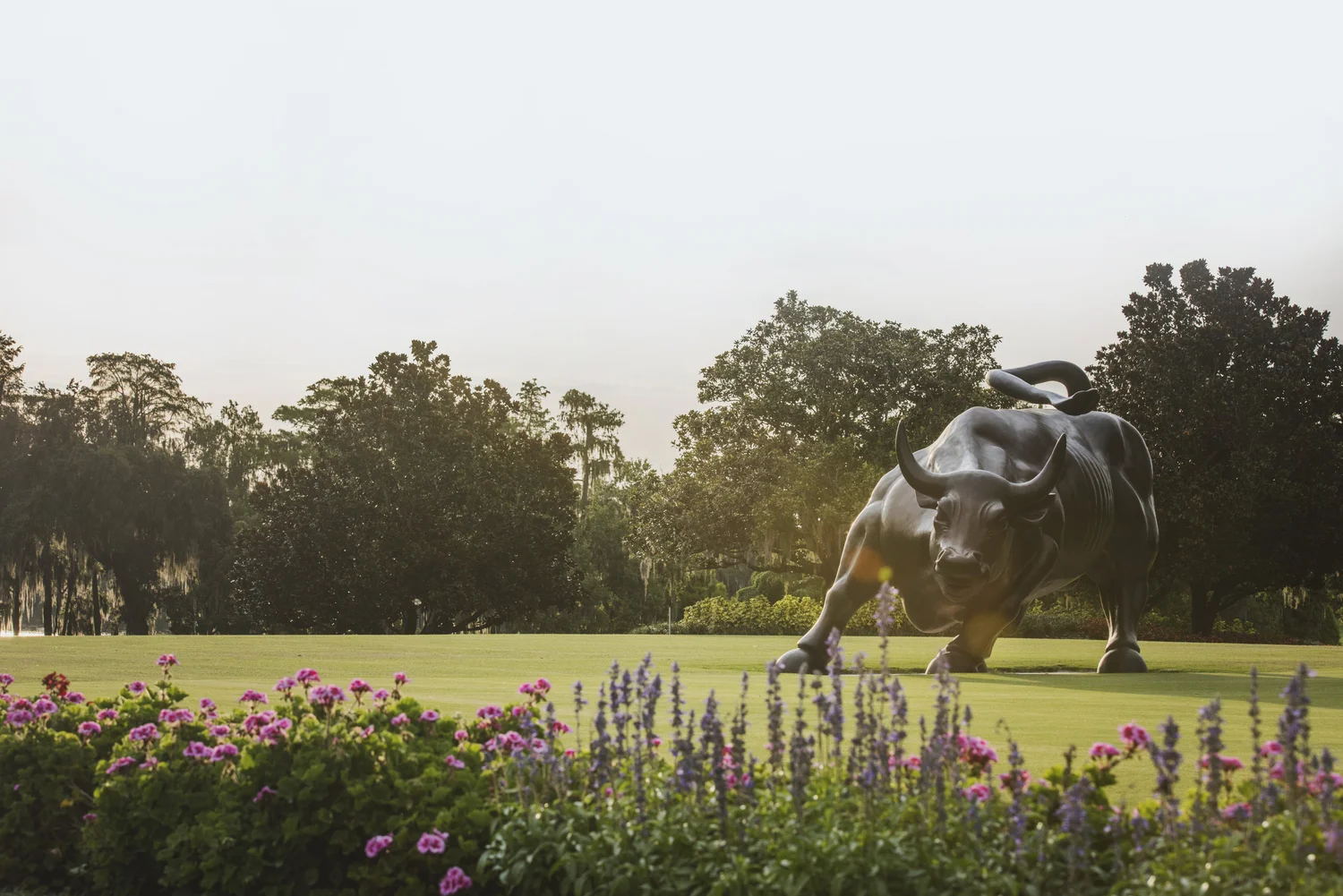 Isleworth - A Premier Residential Community