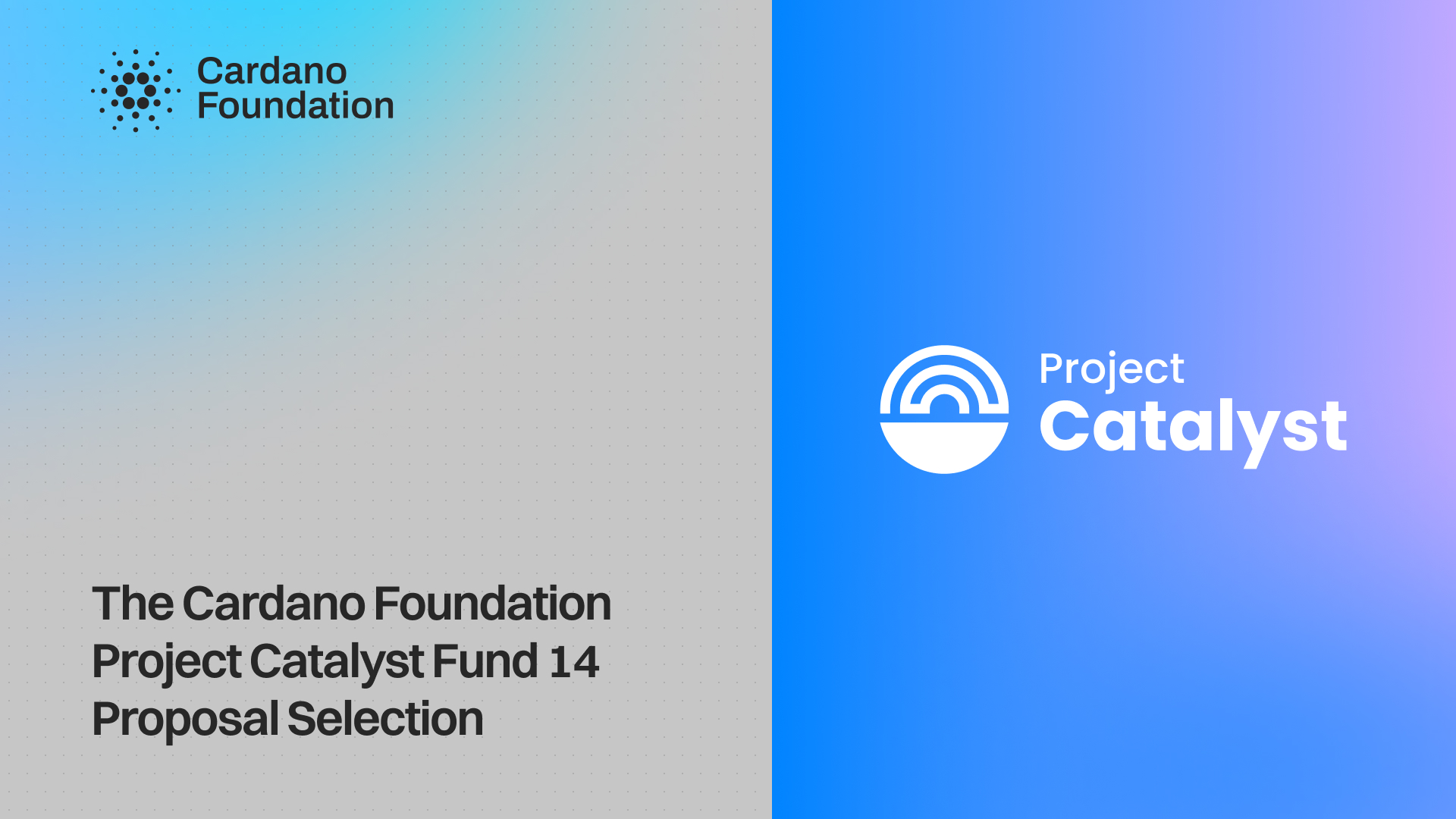 The Foundation's Project Catalyst F14 Review Process Results