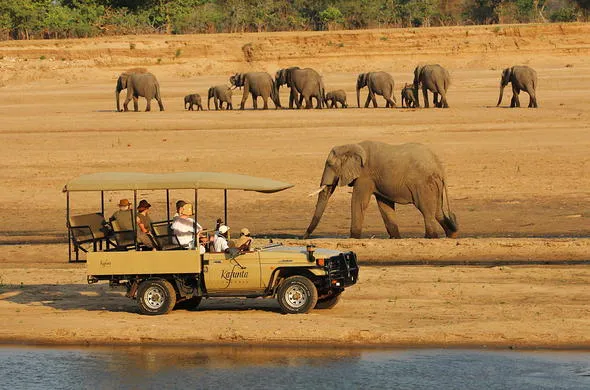 10 Day Experience the Essence of Africa in Zambia