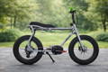 fat bike e-bike