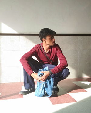 Laiquee Nizami