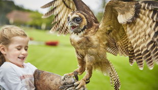 weltvogelpark flugshow