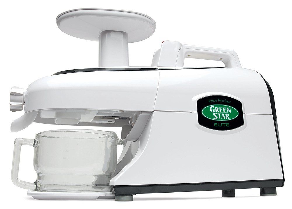 Tribest Greenstar Elite Cold Press Complete Masticating Juicer GSE5000