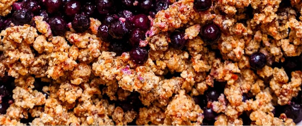 Raw Vegan Lemon Blueberry Cobbler - Wild Blueberry SuperAde