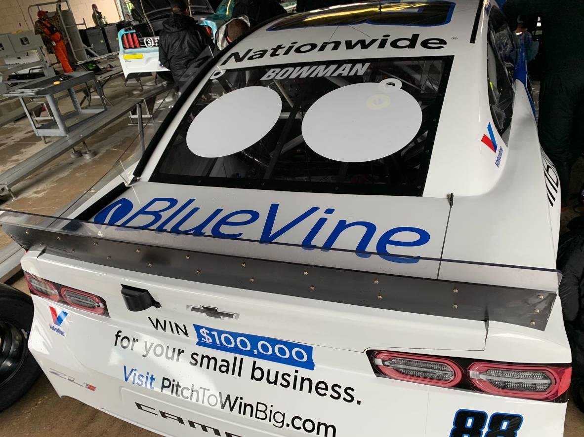 About bluevine
