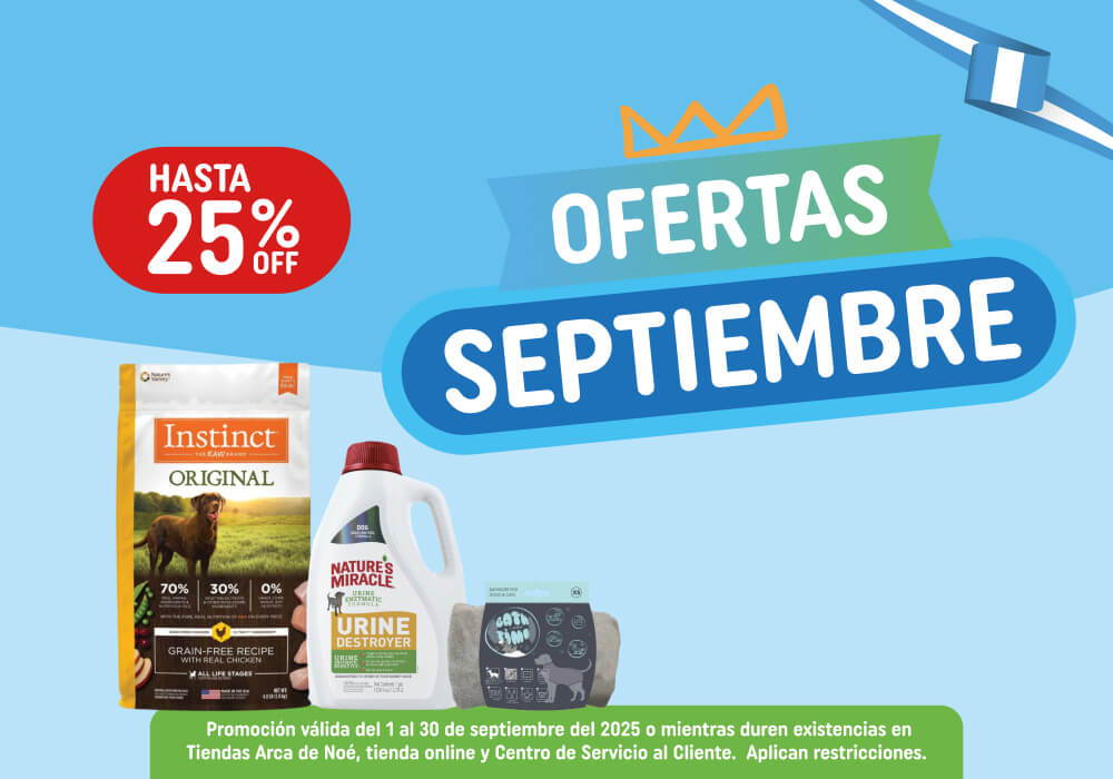 Ofertas Julio 2025