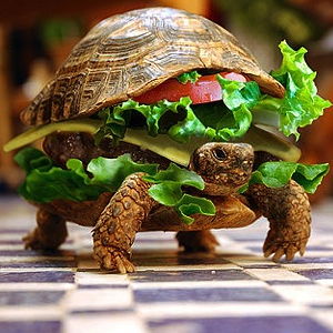 turtleburger Avatar