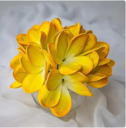 Tahitian Gold Frangipani Flowerhead (6 Pack) -Realistic Artificial Flowers - Image 5