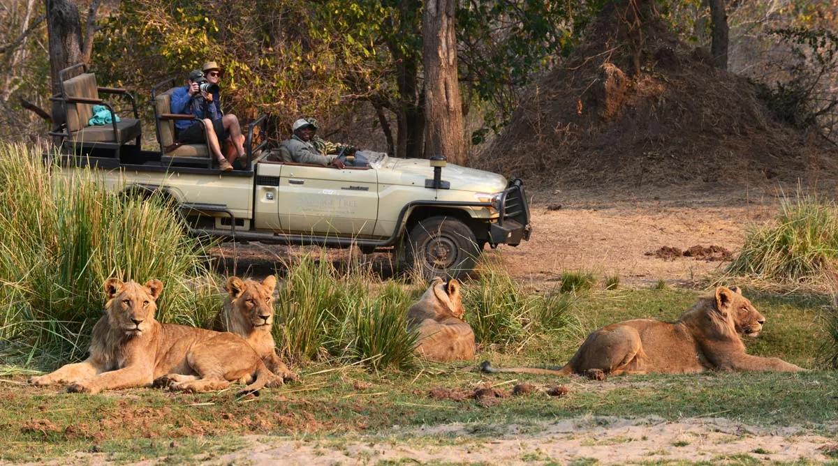 9 Day Best of Zambezi & Luangwa Safari
