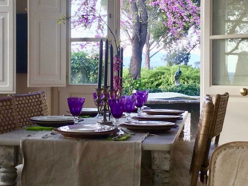 Cooking classes Florence: Cooking class in a lemon grove in the hills of Florence