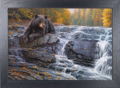Bearly Time Framed Canvas by Greg Alexander