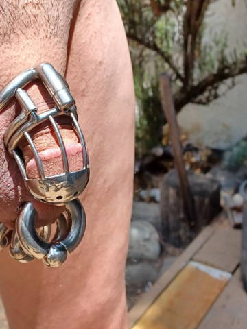 Titanium Prince Albert chastity