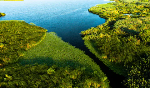 Danube Delta Travel Guide