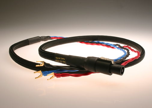 Rel Speakon cable