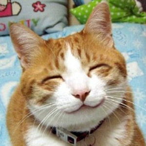 tuxayo Avatar