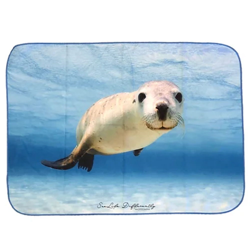 Sea Lion - Gym Towel
