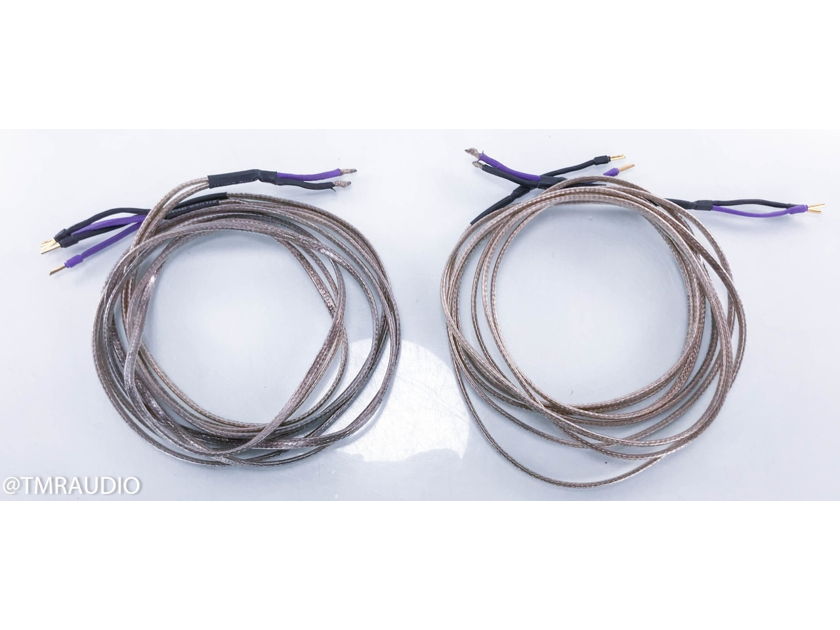 Analysis Plus Silver Oval Bi-Wire Speaker Cables 10ft Pair (14667)