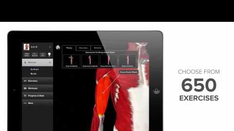 1 Best Alternatives To Biodigital Human Anatomy And Health