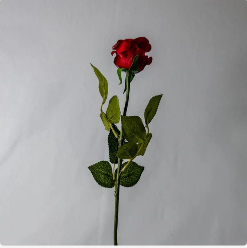 Red Real Touch Half Bloom Rose - Realistic Artificial Flowers - Image 3