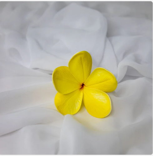 Bowen Frangipani Flowerhead (6 Pack) - Realistic Artificial Flowers - Image 6