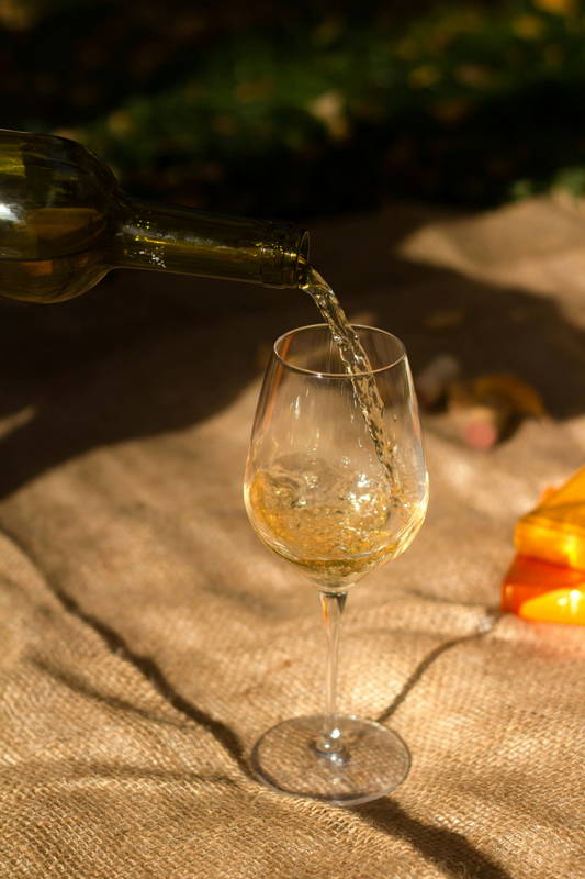 verre de vin sur une couverture
