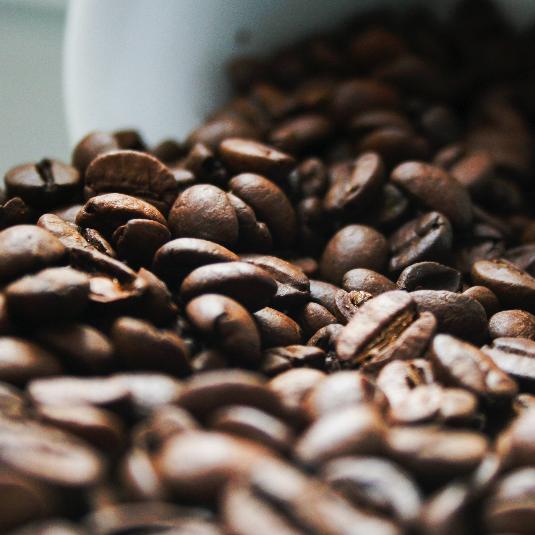 coffee beans