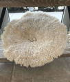 Large specimen tabletop coral