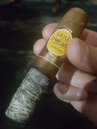 Cigar Session Photo