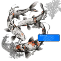 Image showcasing brush sets for tattoo designs, including 40 Liner Brushes, 20 Banner - Micron Brushes, and 17 Snake & Dragon Brushes. The left side displays koi fish created with the Snake Brush, and the right side shows a detailed tattoo of a dragon on a person's back using the Snake & Dragon Brush set.