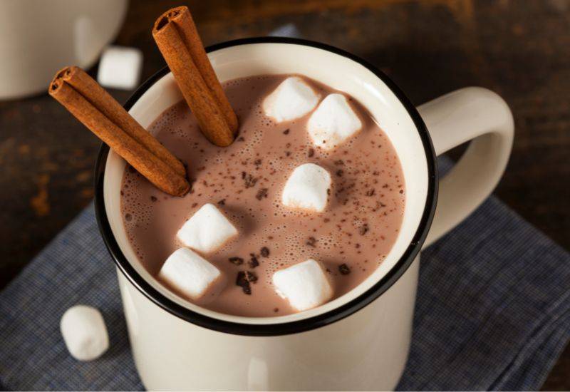 ホットチョコレート ココア 違い